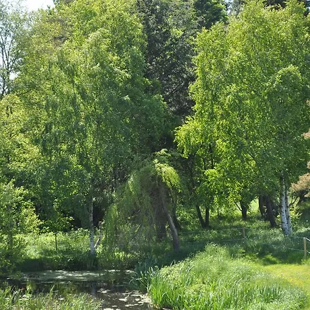 苏海伍加德住宿加早餐旅馆 辛代尔